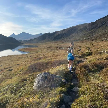 Сasa de vacaciones Stor Tommerhytte Med Fjellutsikt