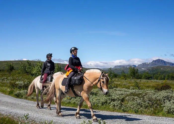 Stor Tommerhytte Med Fjellutsikt *