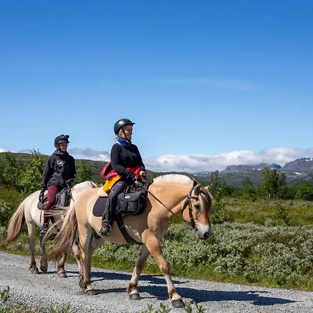 Stor Tommerhytte Med Fjellutsikt *