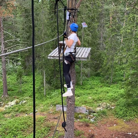 Stor Tommerhytte Med Fjellutsikt